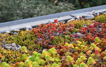 the cost of Mepal green roof installation