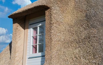 Mepal thatch roof disadvantages