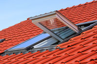 Mepal roof window